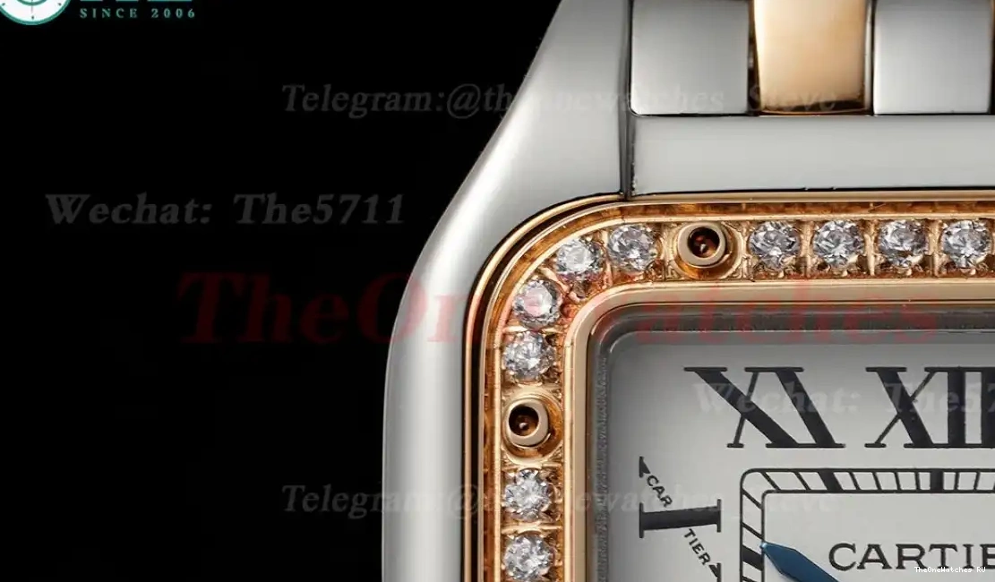 Ladies RG Dia De White Panthere Quartz SS 22mm AF Small Secrete 0330